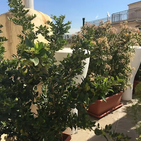 Terrazza Fiorita Roma