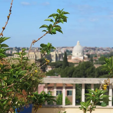 Terrazza Fiorita