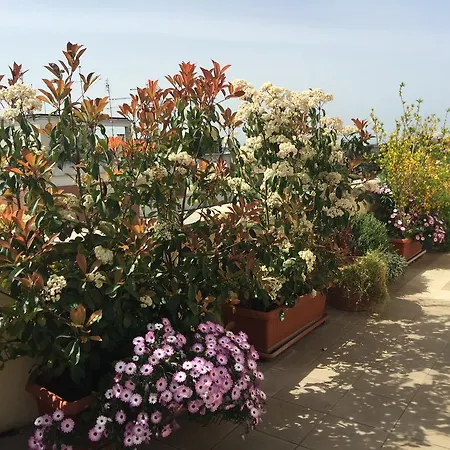 Terrazza Fiorita * Rom