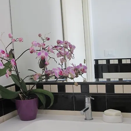 Apartamento Terrazza Fiorita *