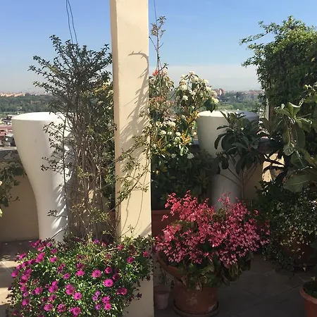 Terrazza Fiorita Roma