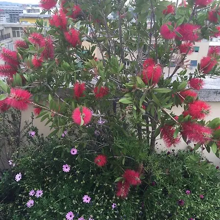 Appartamento Terrazza Fiorita *